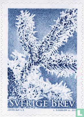 Winter-Bäume