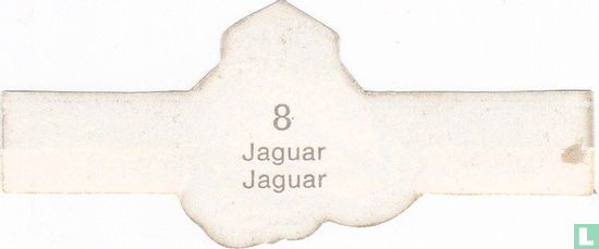 Jaguar - Bild 2