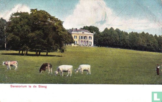 Sanatorium te de Steeg - Image 1