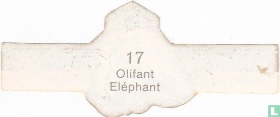 Elephant - Bild 2