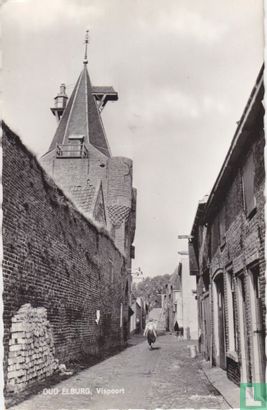 Oud Elburg, Vispoort