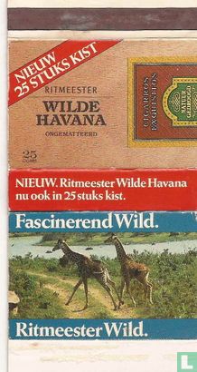 Nieuw 25 stuks kist - Wilde Havana