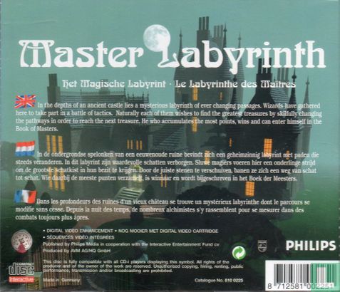 Master Labyrinth - Afbeelding 2