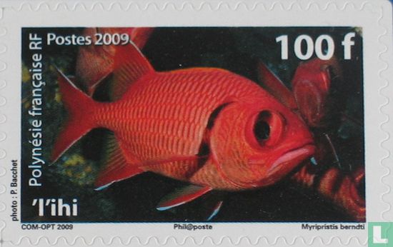 Vissen van Polynesië