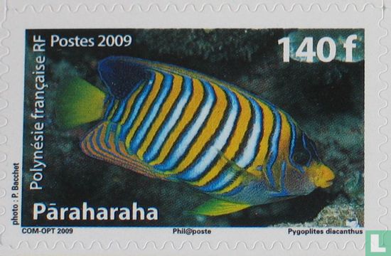 Vissen van Polynesië