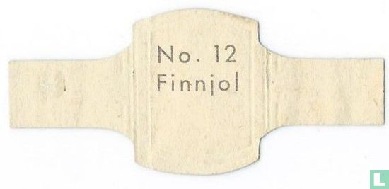 Finnjol - Image 2