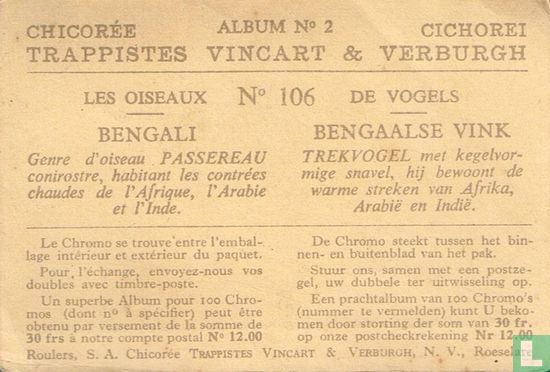 Bengali / Bengaalse vink - Image 2