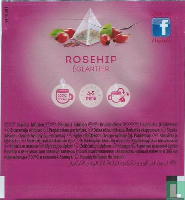 Rosehip - Bild 2