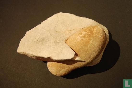 2 soorten kalk steen ineen