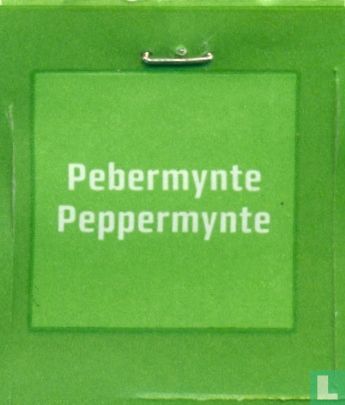 Pebermynte - Bild 3