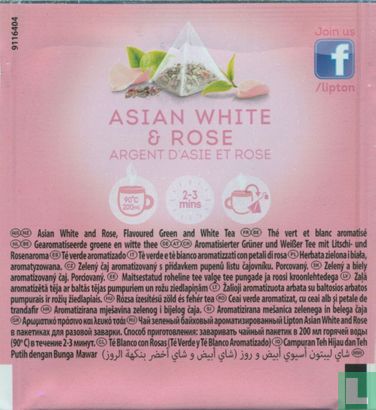 Asian White & Rose - Bild 2