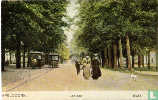 Apeldoorn, Loolaan - Afbeelding 1