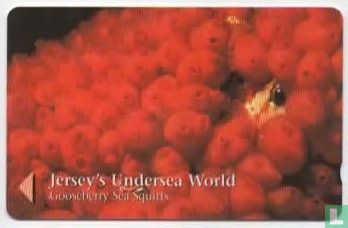 Jersey Undersea World  - Afbeelding 1