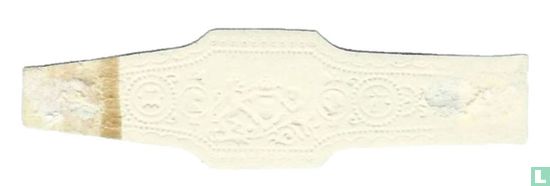 Invencibles - Image 2