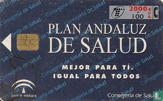 Plan Andaluz De Salud - Afbeelding 1
