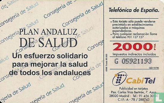 Plan Andaluz De Salud - Afbeelding 2