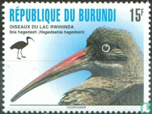 Birds on the lake Rwihinda