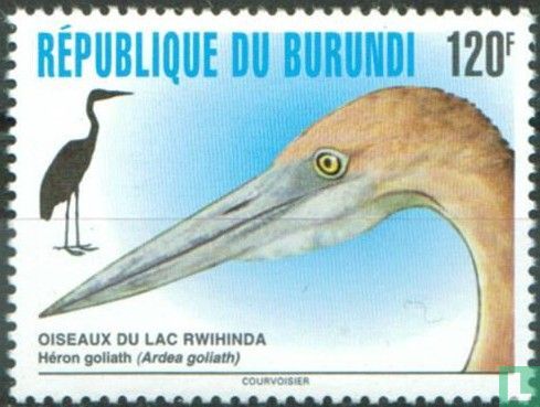 Bird Lake Rwihinda