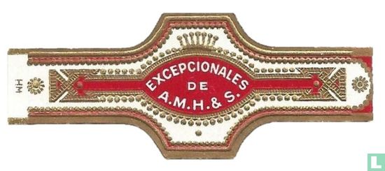 Exceptionales De A.M.H.& S. - Image 1