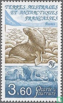 Fur Seal