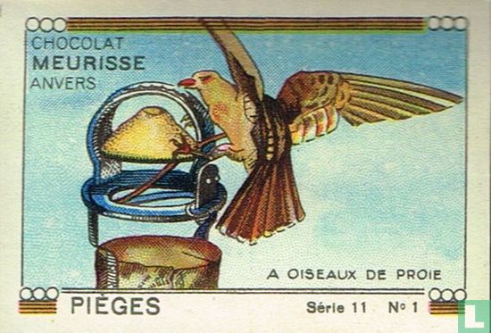 Pièges - A oiseaux de proie