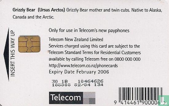 Grizzly Bear (Ursus Arctos) - Afbeelding 2