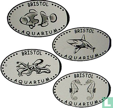 GB Bristol Aquarium - Squid - Bild 3