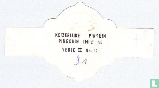 Keizerlijke Pinguin - Afbeelding 2