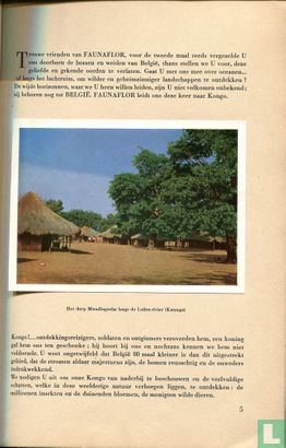 Faunaflor - Congo I - Afbeelding 3