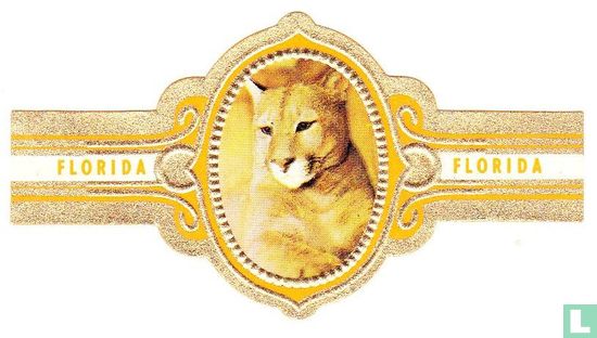 Cougar - Image 1
