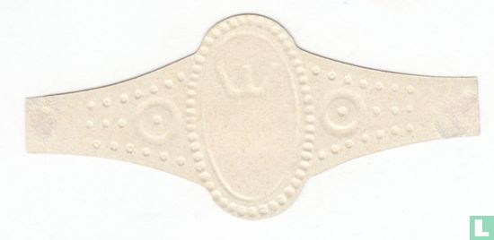 Opal Coronet - Image 2