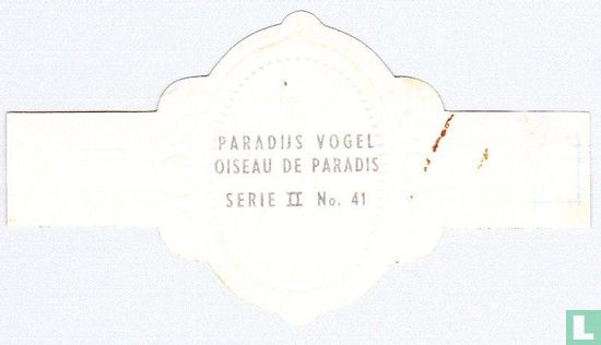 Paradise Bird - Image 2