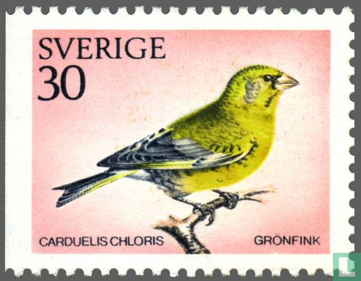 Swedish Birds