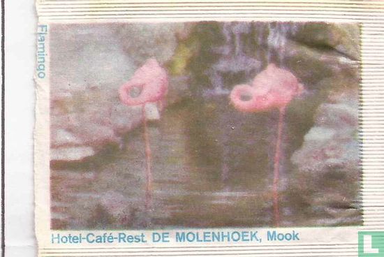 Flamingo - Hotel Café Rest. De Molenhoek - Bild 1