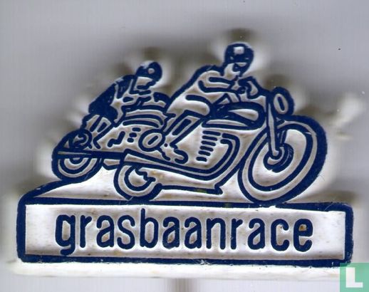 Grasbaanrace [blauw op wit]