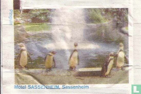 Motel Sassenheim, Sassenheim - Image 1