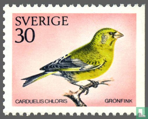 Zweedse vogels