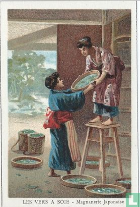 Les vers à soie (Magnanerie Japonaise) - Image 1