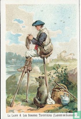 La laine et les bergers tricoteurs (Landes de Gascogne) - Image 1