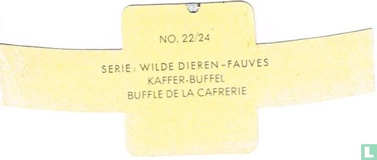 Kaffer-Buffel - Afbeelding 2