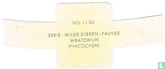 Phacochère - Image 2
