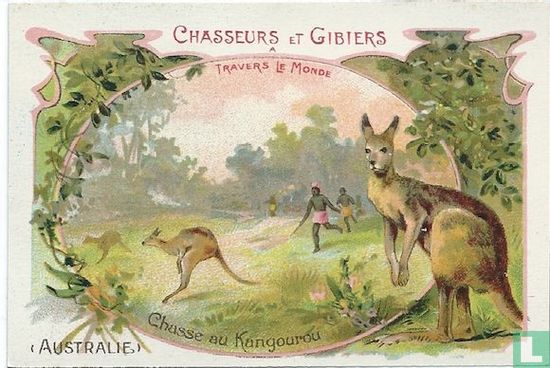 Chasse au Kangourou (Australie) - Image 1
