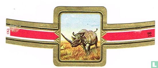 Rhinocéros noir - Image 1