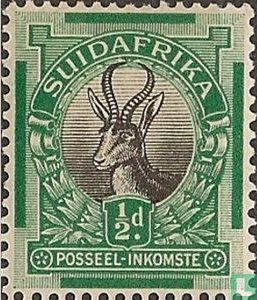 Springbok (Afrikaans)