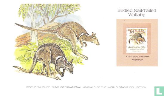 Endangered Animals 