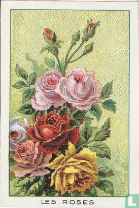 Les Roses - Bild 1