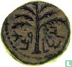 Judea  AE18  (Sjimon Bar Kochba, jaar 2) 133 - 134 - Afbeelding 2