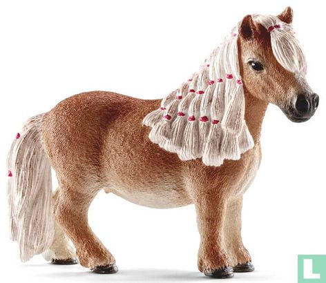 Minishetty Pony
