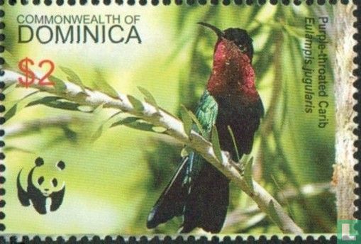 WWF Hummingbirds