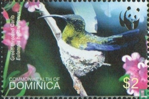 WWF Hummingbirds